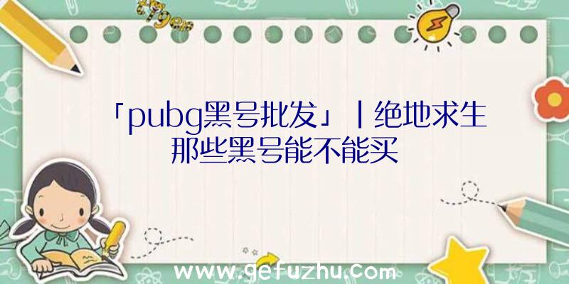 「pubg黑号批发」|绝地求生那些黑号能不能买